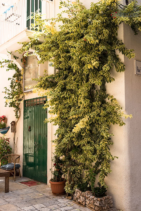 Ein Balkon am Piazza Garibaldi in Monopoli