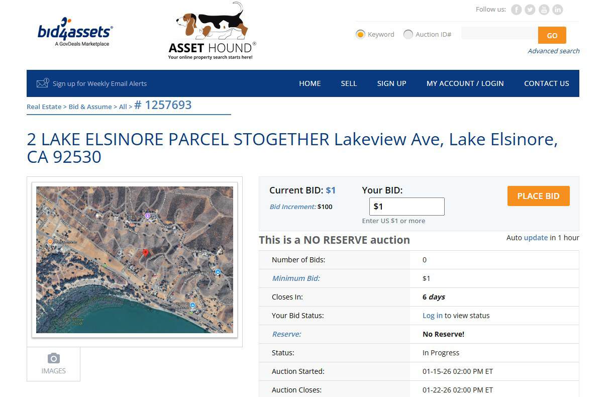 bid4assets.com