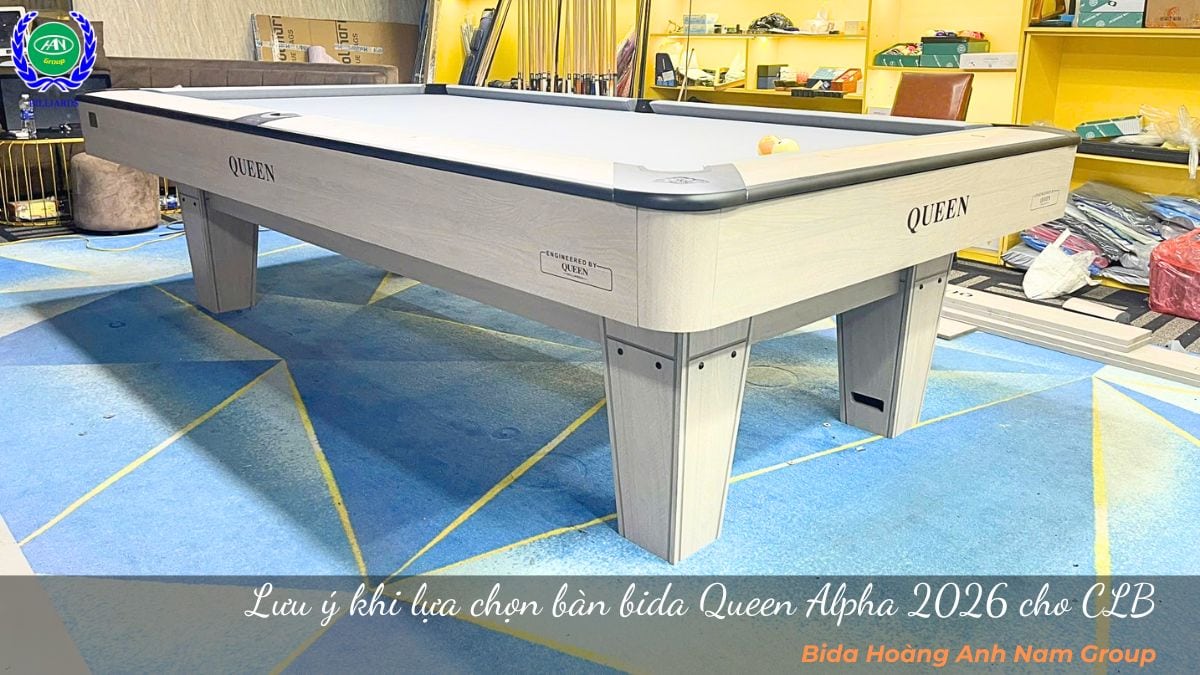 Lưu ý khi lựa chọn bàn bida Queen Alpha 2026 cho CLB