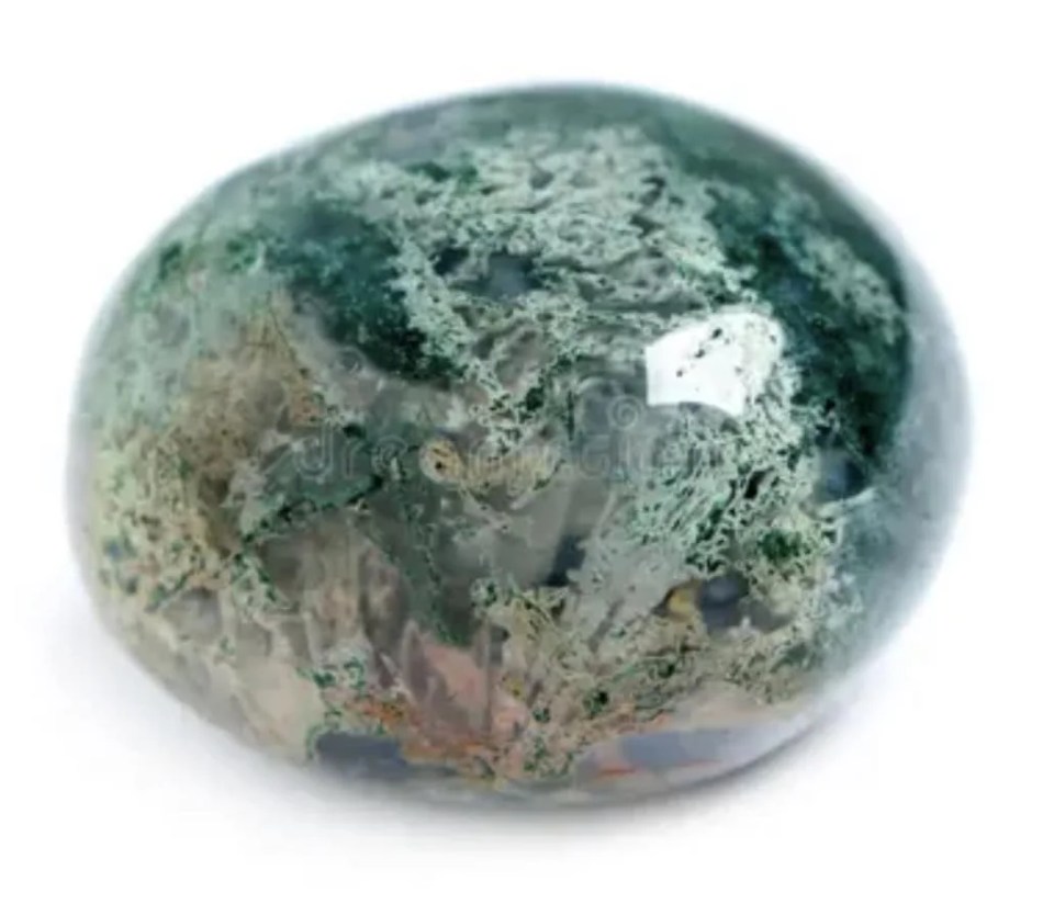 Welcome to Virgo Season 5 Kjahli