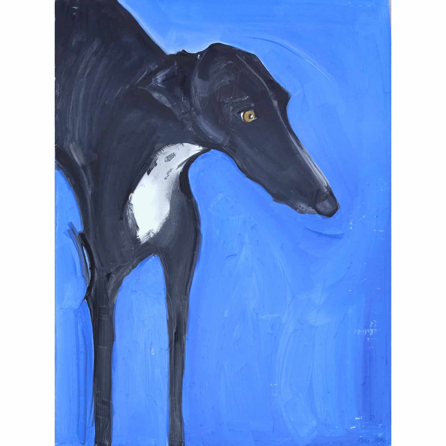 4698C Black and White Hound on Bright Blue Background – Sally Muir