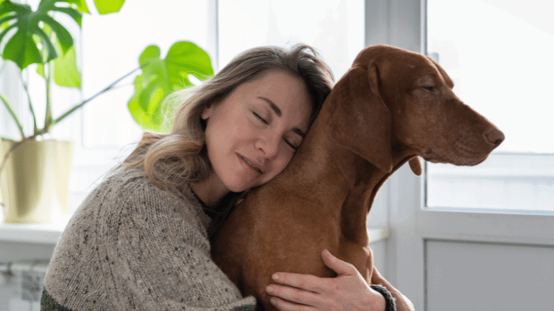 Emotional support dog training at go anywhere dog in minneapolis, minnesota & nearby suburbs