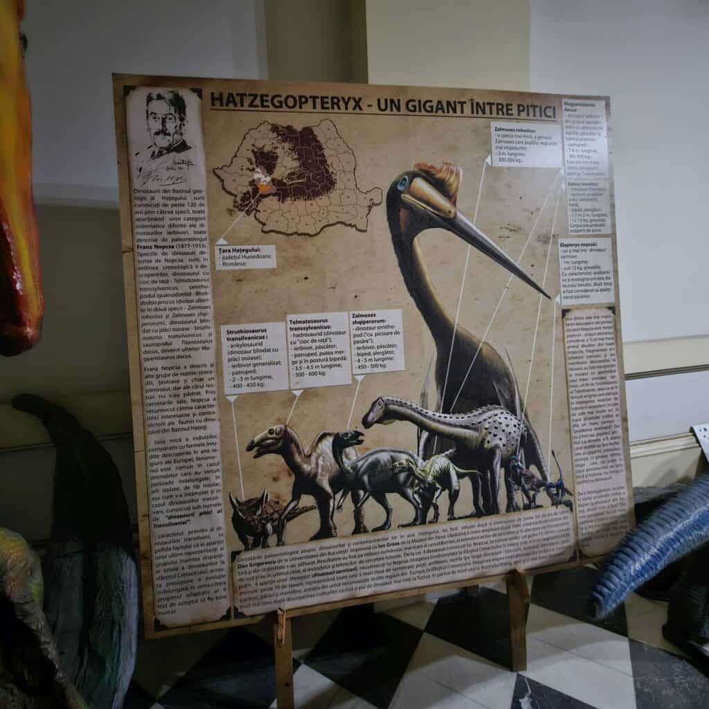 Muzeul Geologic Național - despre Hatzegopteryx