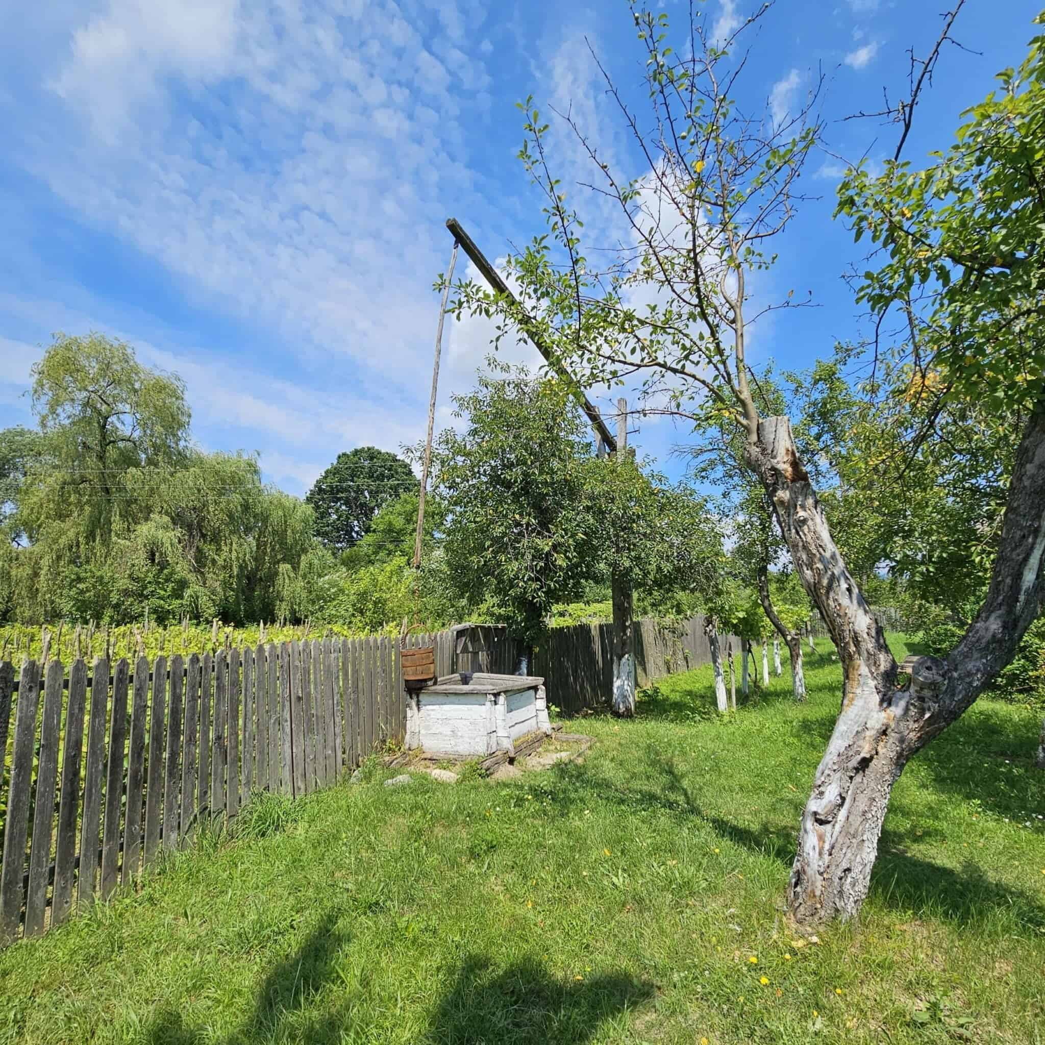 Casa-Muzeu Constantin Brâncuși