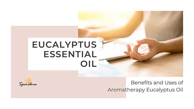 EUCALYPTUS ESSENTIAL OIL: USES, BENEFITS, AND HEALTH INSIGHTS OF EUCALYPTUS OIL 4 eucalyptus essential oil: uses and applications
