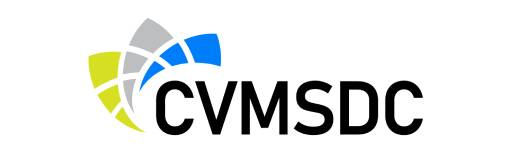 Top Medical Billing Expert Services Nationwide | The Ashez Group 12 CVMSDC logo showcasing a modern and professional design with green, blue, gray, and black elements representing community development and economic growth.