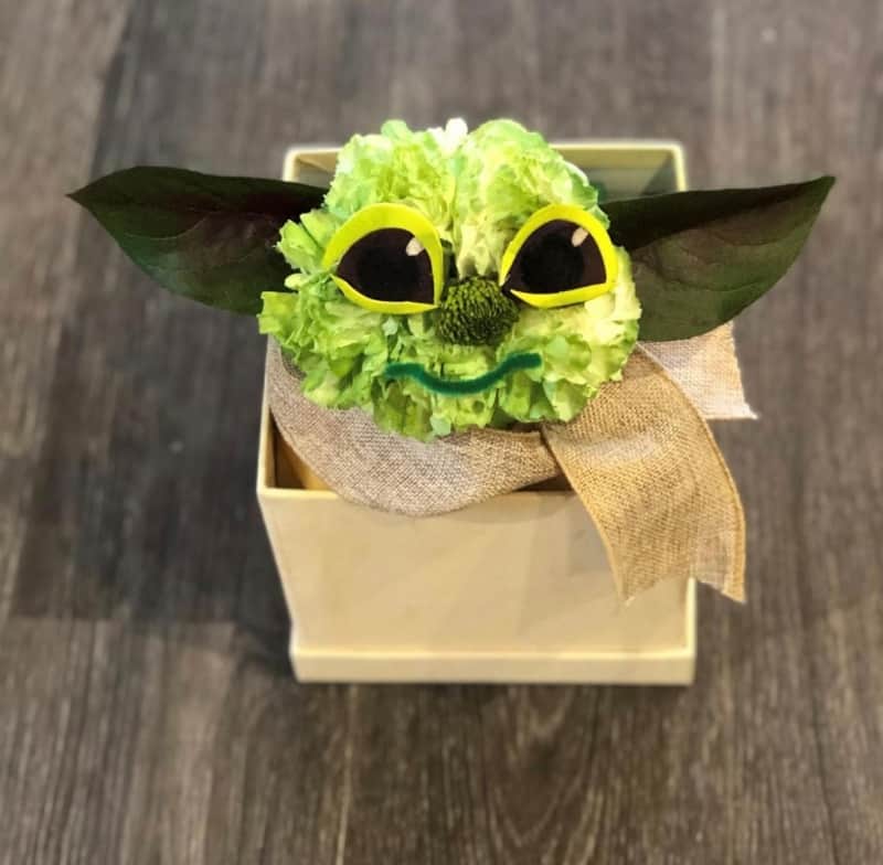 Carnation Yoda