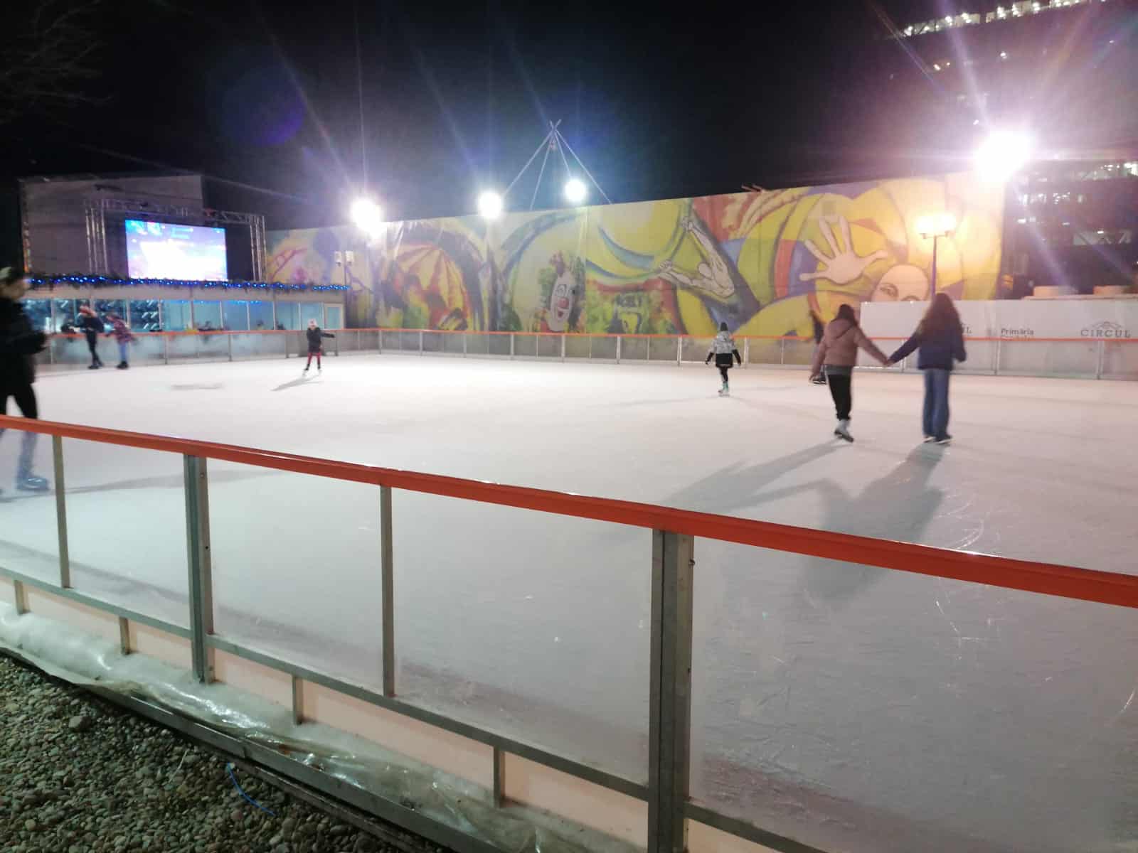 patinoar seara Parcul Circului Metropolitan