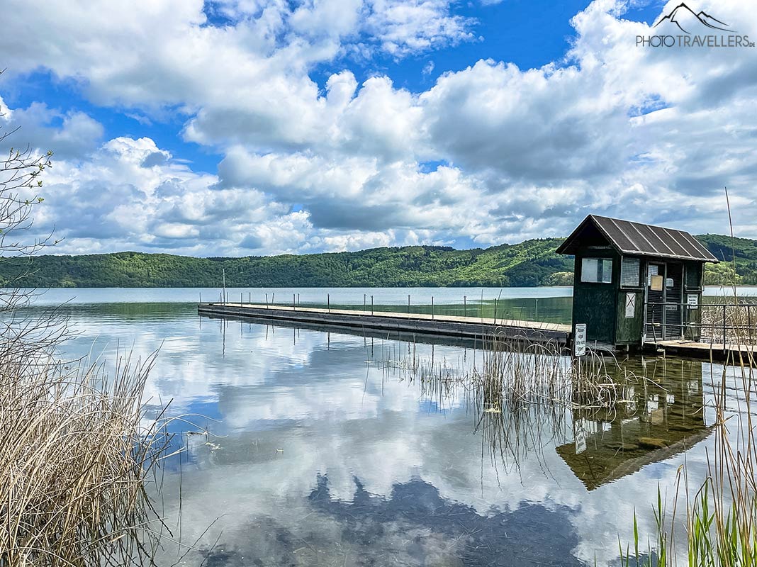 Ein Steg am Laacher See