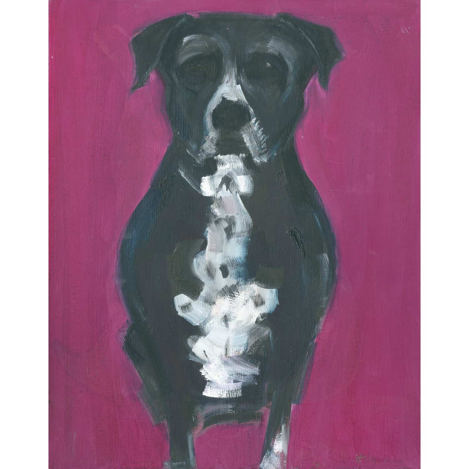 4694C Black and White Dog on Purple background – Sally Muir