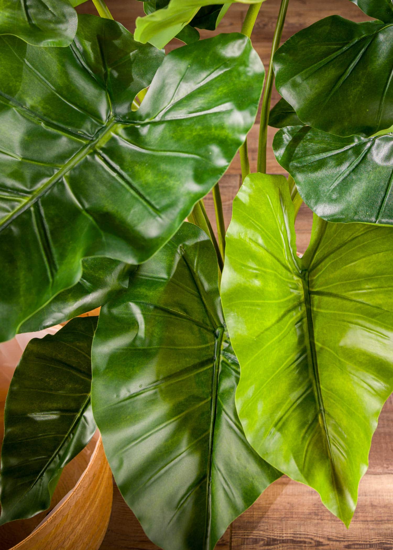 Pianta-artificiale-di-Philodendro-Dettaglio-zoom-foglie