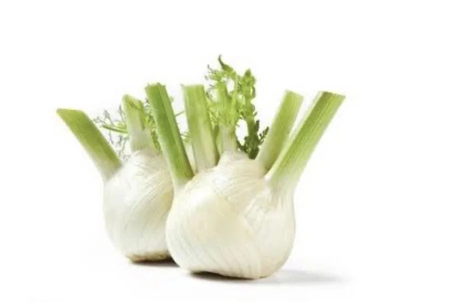 Welcome to Virgo Season 16 Kjahli