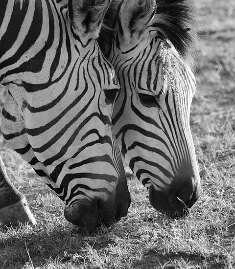 emerging markets on the rise: the economic power shift with brics in 2024