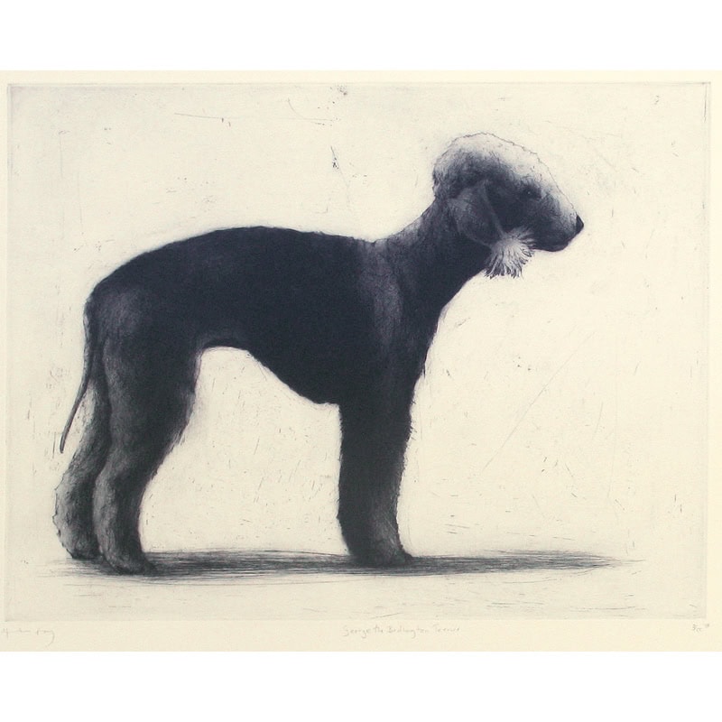 C4678 George the Bedlington – Helen Fay