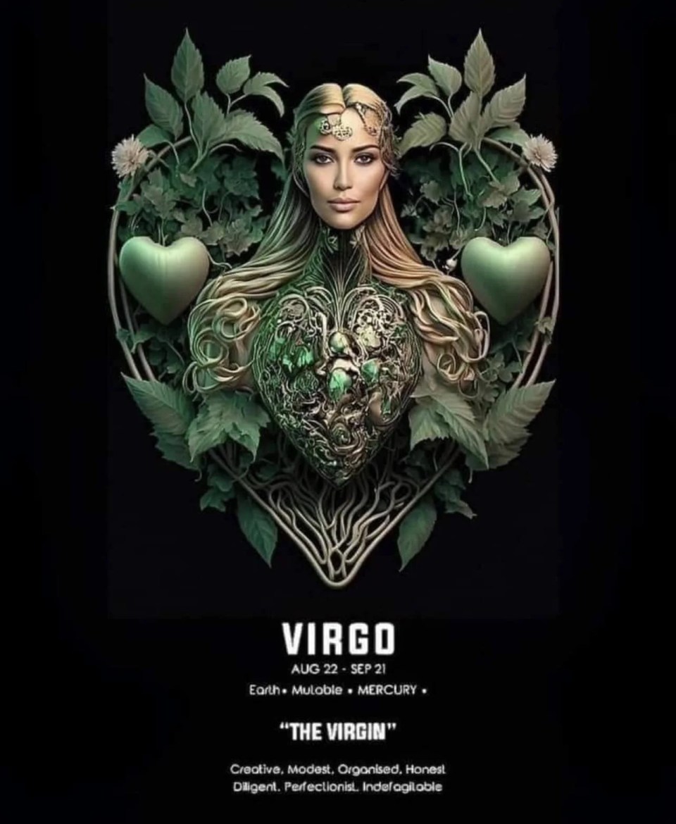 Welcome to Virgo Season 2 Kjahli