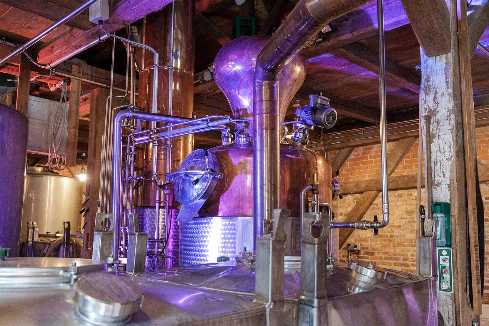 Weißbier, Speck und ein bisschen Wumms 2 DSF5821 WEB 3 2 1620x1080 xgrtyypkdjco