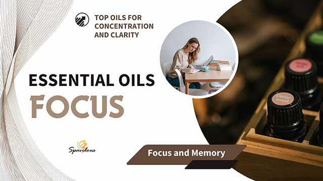 ESSENTIAL OILS FOR FOCUS: TOP OILS FOR CONCENTRATION AND CLARITY 3 science behind aromatherapy