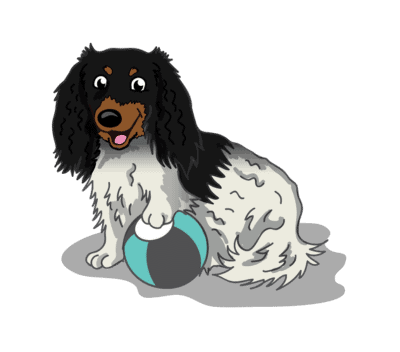 Dog training in twin cities, mn