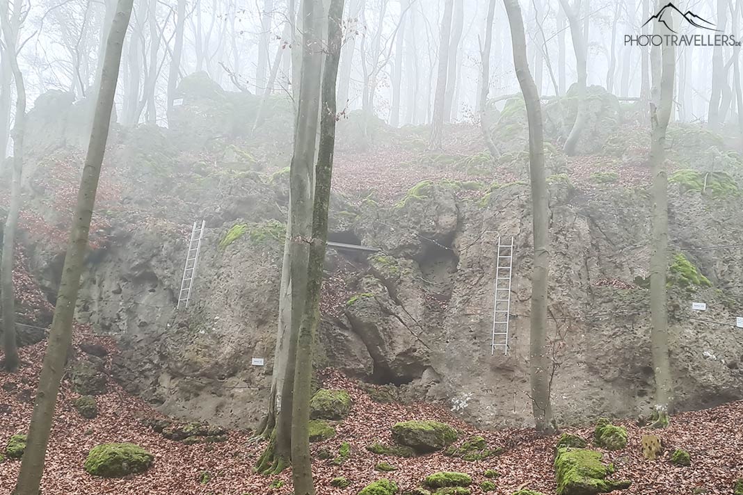 Leitern auf dem Höhenglücksteig in der Fränkischen Schweiz