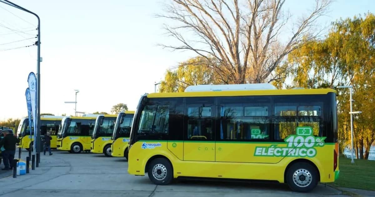 Colectivos del transporte urbano circulando por una avenida de Neuquén capital