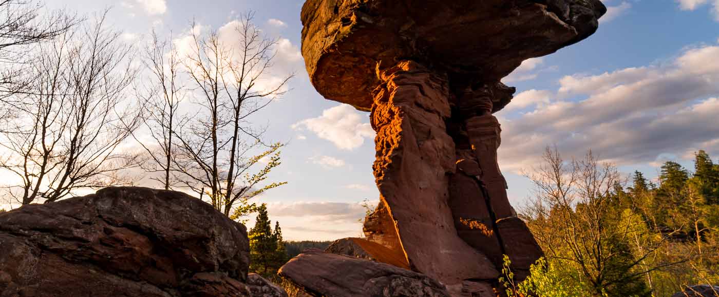 Highlights und Sehenswürdigkeiten im Pfälzerwald
