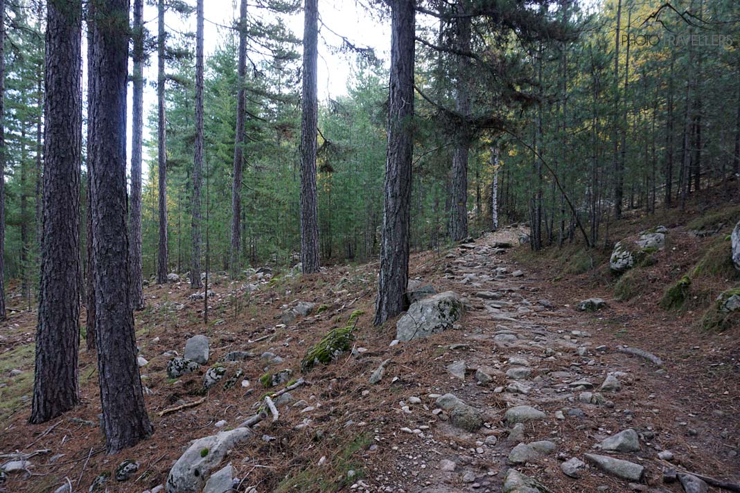 Der Wanderweg im Wald, der zum Ninosee führt