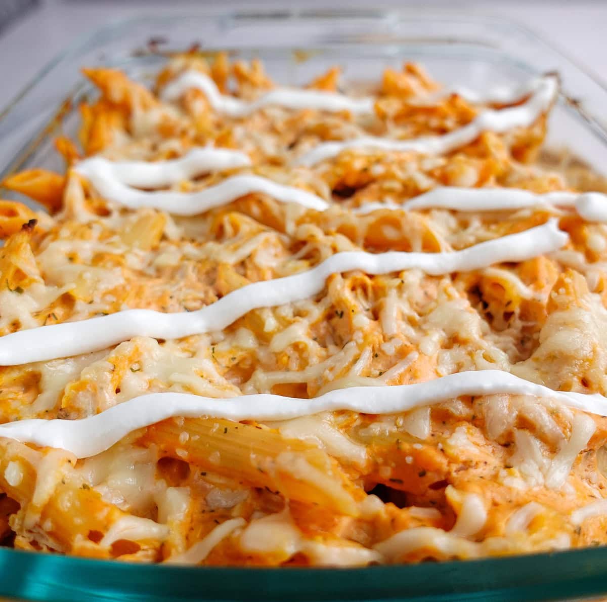 Buffalo chicken pasta bake with greek yogurt topping