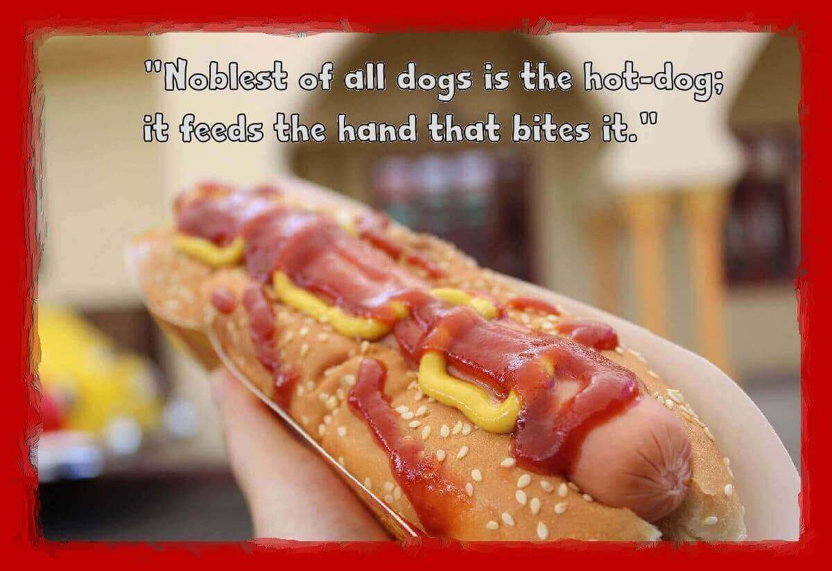 History Of The Hot Dog History Of The Hot Dog