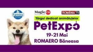 342333479_1610910872752406_5099733005664889015_n