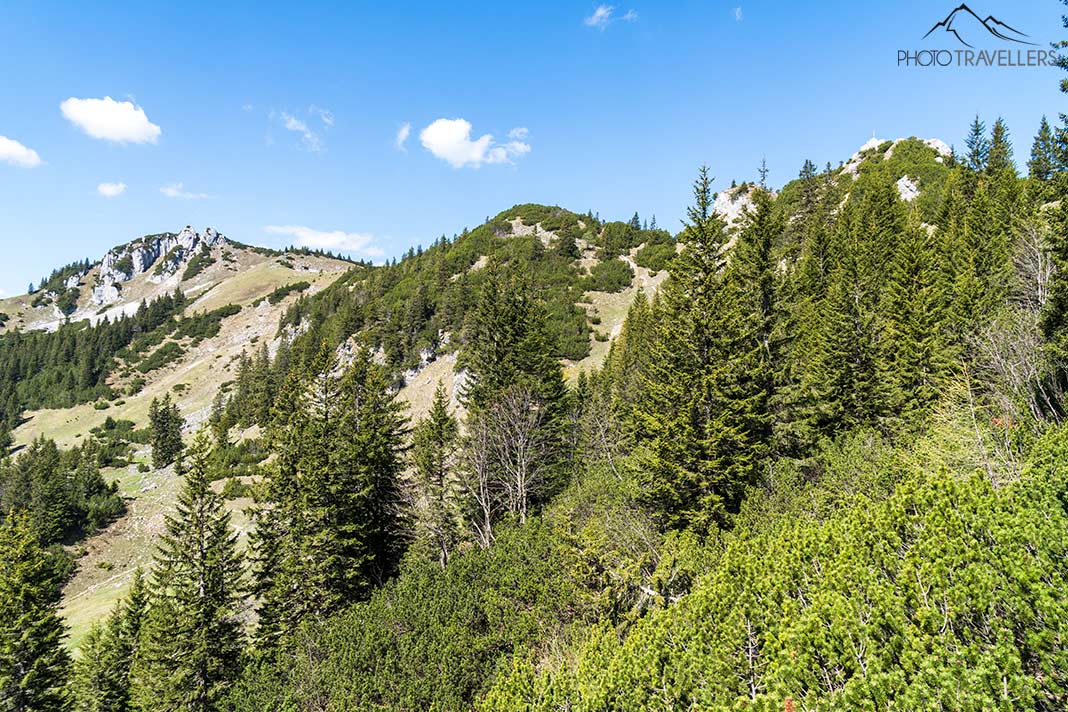 Der Blick auf Lacherspitz und Seewandköpfl