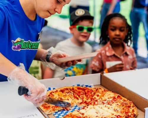 birthday party pizza time birthday party pizza time