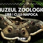 muzeul zoologic ubb cluj-napoca fb muzeul zoologic ubb cluj-napoca fb