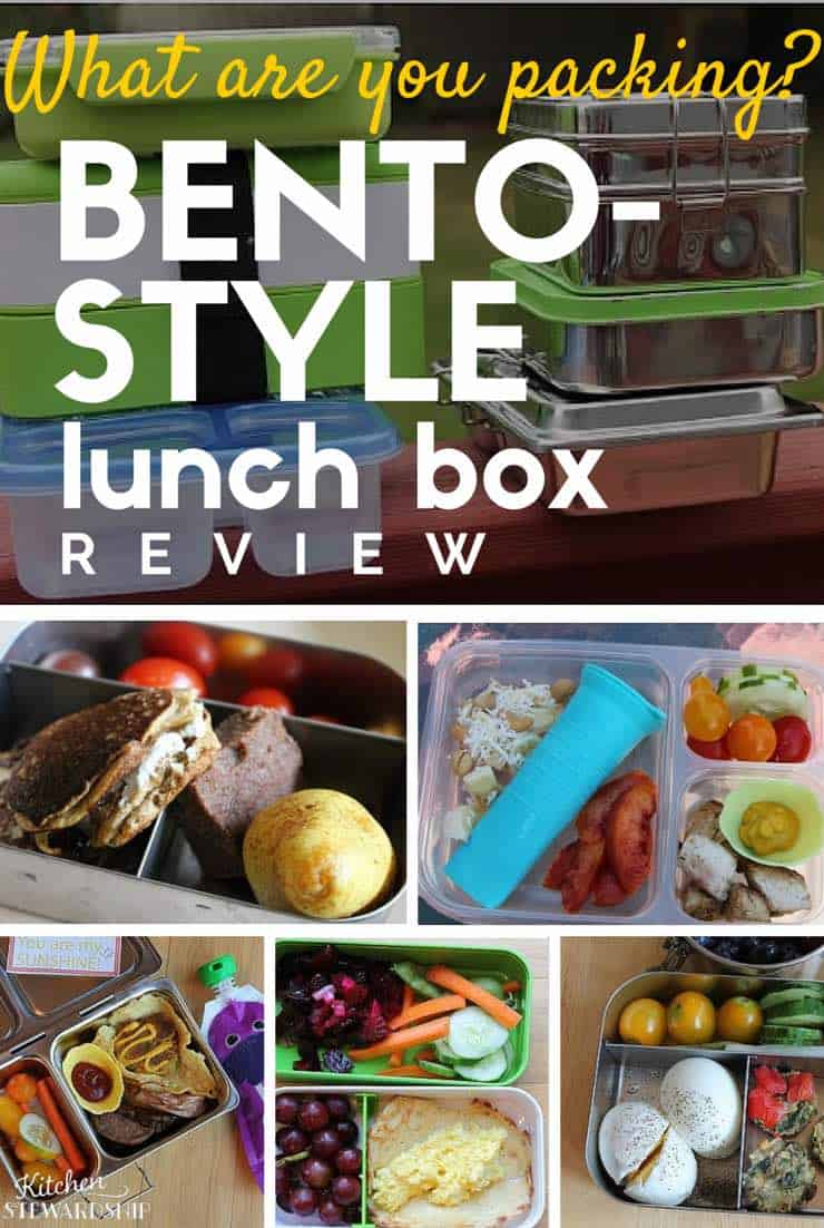 Bento Style Lunch Box Review