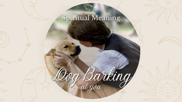 UNDERSTANDING WHY A DOG IS BARKING AT YOU: A SPIRITUAL PERSPECTIVE 4 decode the bark