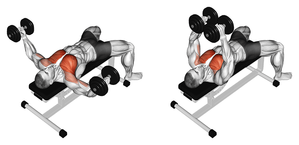 Dumbbell Fly