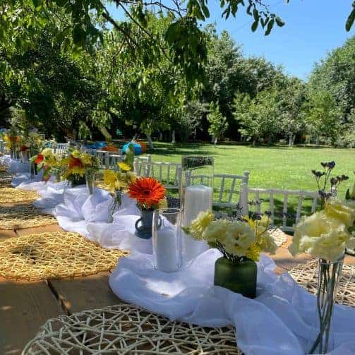 The Backyard gradina Locuri de Petreceri in Aer Liber pentru Copii langa Bucuresti