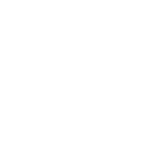 ICO registered