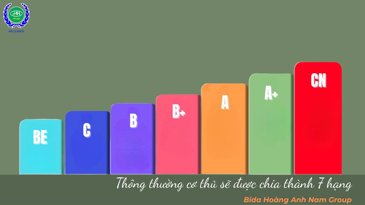 Thông thường cơ thủ sẽ được chia thành 7 hạng