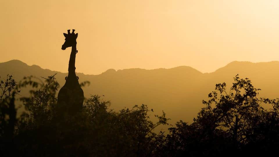 exploring the cultural heritage of brics: a journey through time