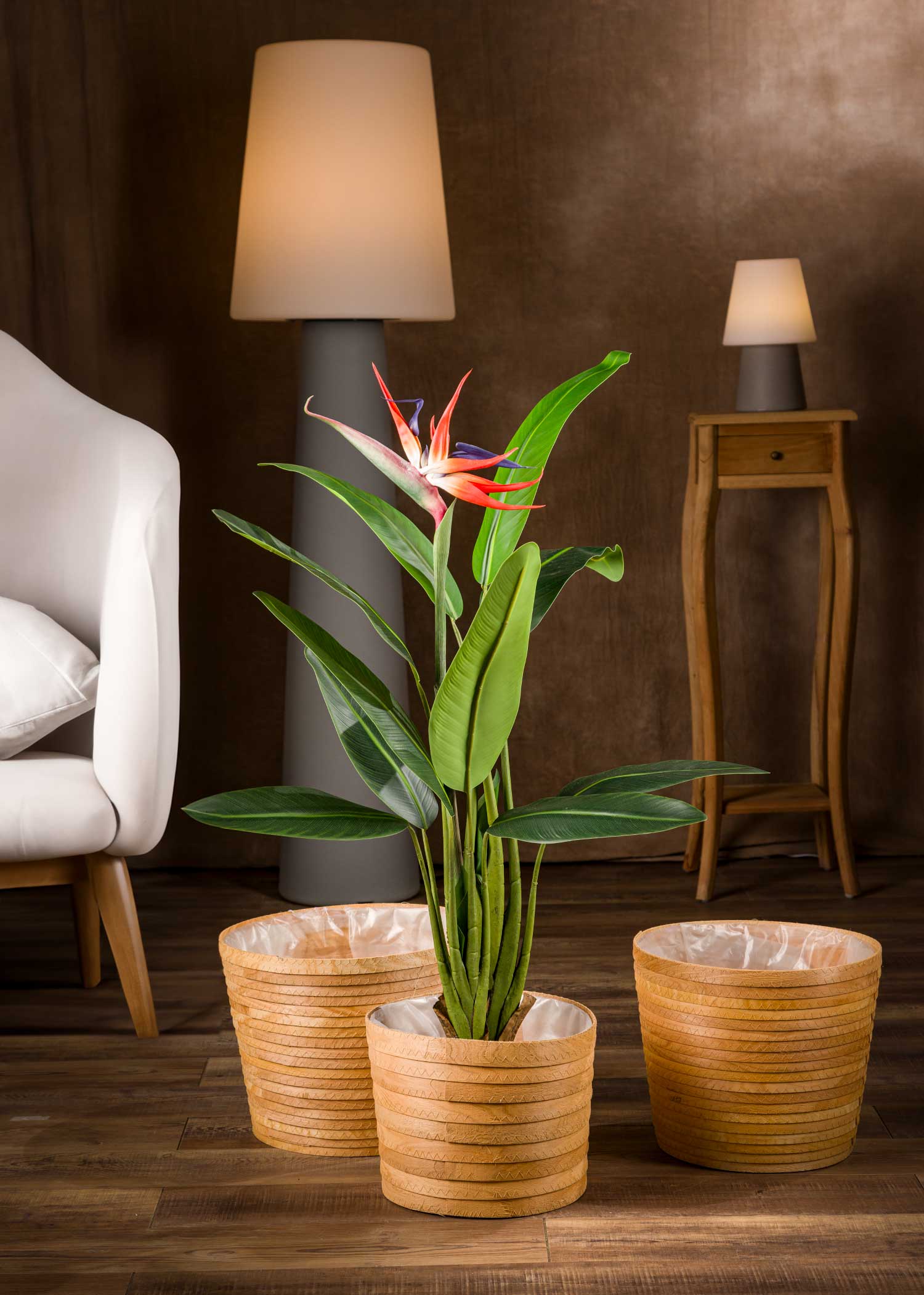 pianta-sterlizia-artificiale-piccola-frontale