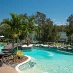 A group of palm trees next to a pool of water
