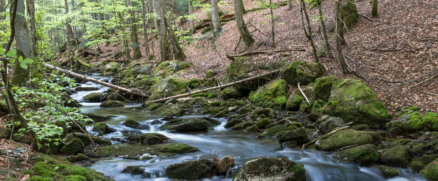 Highlights und Sehenswürdigkeiten im Bayerischen Wald