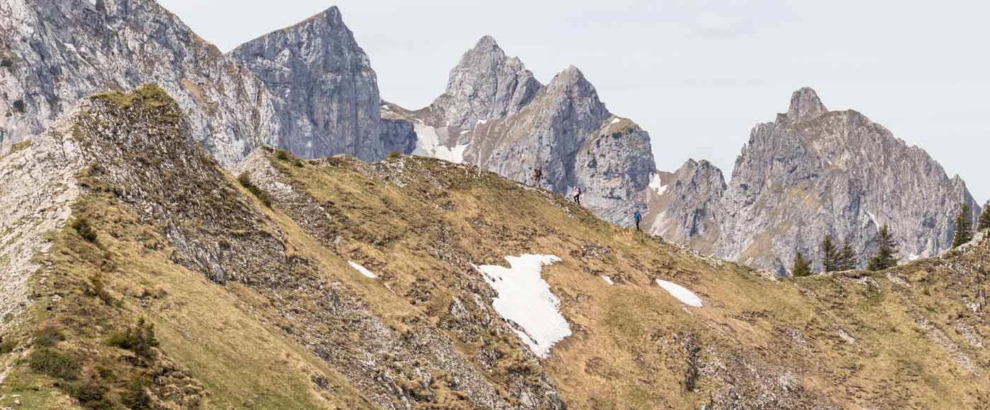 Alle Infos zur Wanderung auf den Hasentalkopf