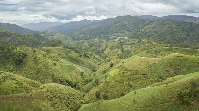 drone-services-thailand