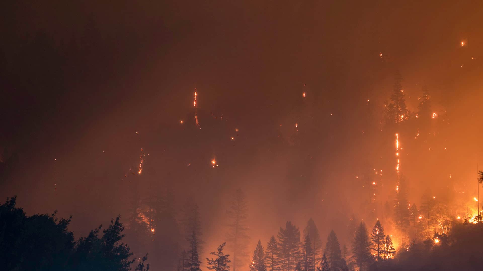 Waldbrände Rhodos Sommer 2023