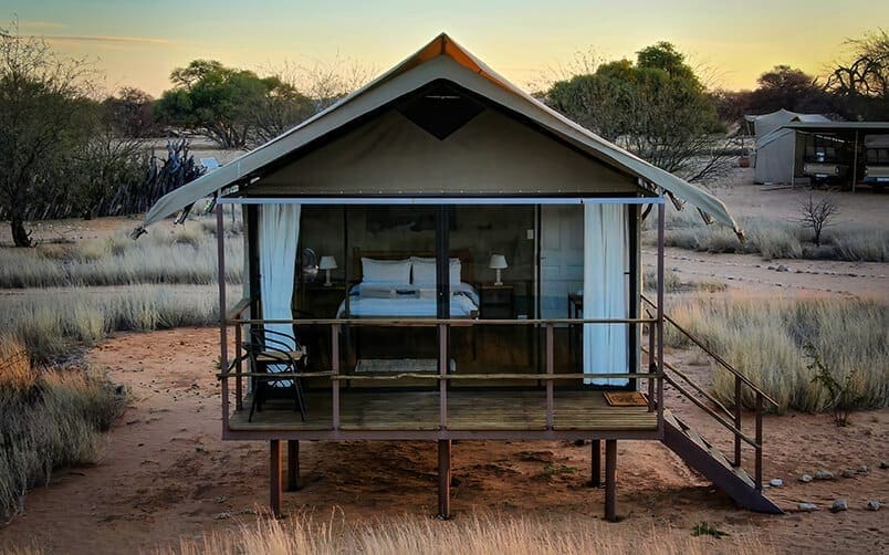 Kalahari-Tent-Glamping Kalahari Wildlife Research Safari