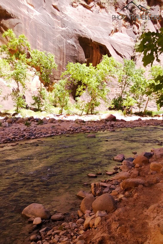 Auf dem Weg durch die Narrows im Zion Nationalpark