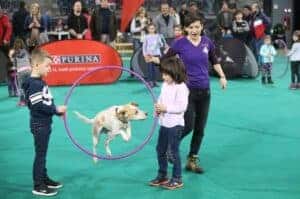 52422289_2147859885269529_4100667004208283648_o