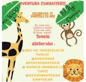 58729734_1916767138429876_8581467420458221568_o (1)