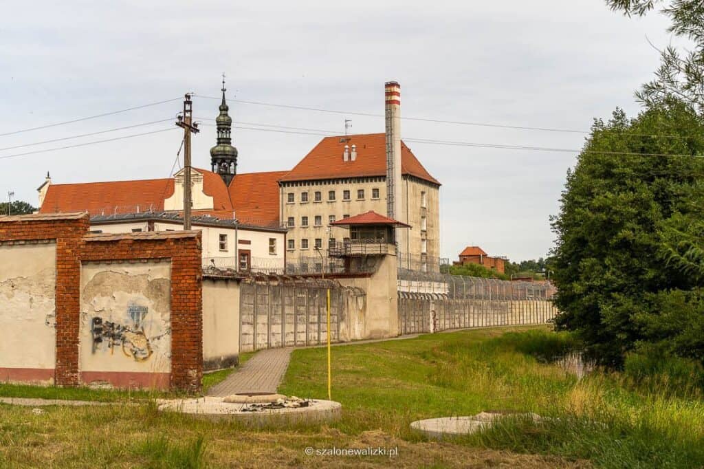 spływ brdą